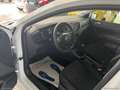 Volkswagen Polo 1.0 TGI 5p. Trendline BMT NEOPATENTATI Weiß - thumbnail 5