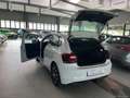 Volkswagen Polo 1.0 TGI 5p. Trendline BMT NEOPATENTATI Weiß - thumbnail 16