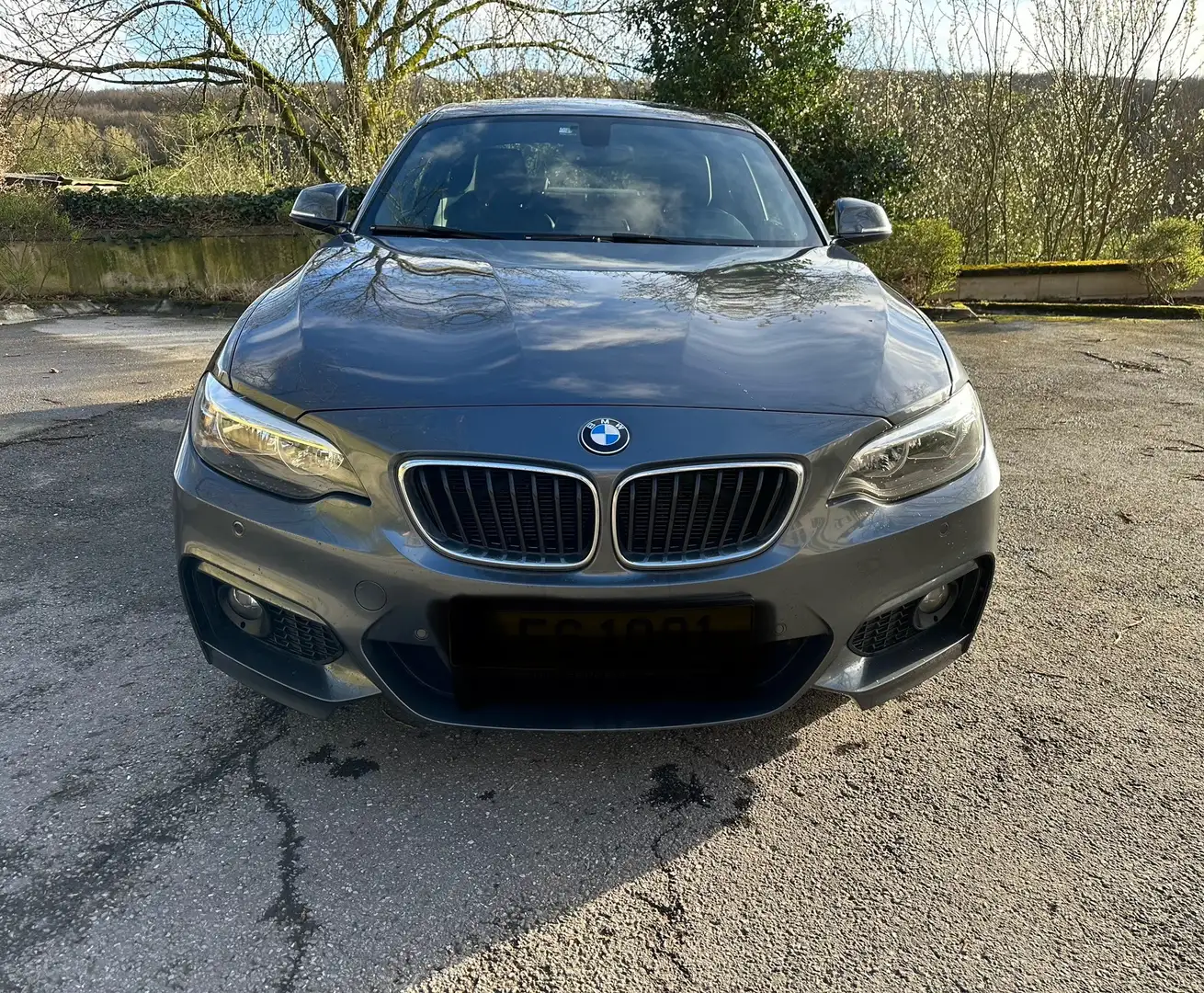 BMW 220 220d xDrive Coupe Aut. M Sport Gris - 1