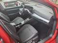 Volkswagen Golf VIII 1.5 eTSI Goal AHK LED-Matrix ACC LED Rot - thumbnail 4