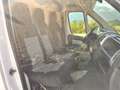 Fiat Ducato 130 L2H1 RS: 3450 mm / Klima / Pickerl neu Weiß - thumbnail 17