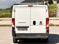 Fiat Ducato 130 L2H1 RS: 3450 mm / Klima / Pickerl neu Weiß - thumbnail 12