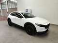 Mazda CX-30 2.0L e-Skyactiv-G 150CV M Hybrid auto Navi FariLED Blanc - thumbnail 2