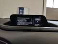 Mazda CX-30 2.0L e-Skyactiv-G 150CV M Hybrid auto Navi FariLED Blanc - thumbnail 25