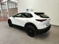 Mazda CX-30 2.0L e-Skyactiv-G 150CV M Hybrid auto Navi FariLED Blanc - thumbnail 9