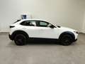 Mazda CX-30 2.0L e-Skyactiv-G 150CV M Hybrid auto Navi FariLED Blanc - thumbnail 43