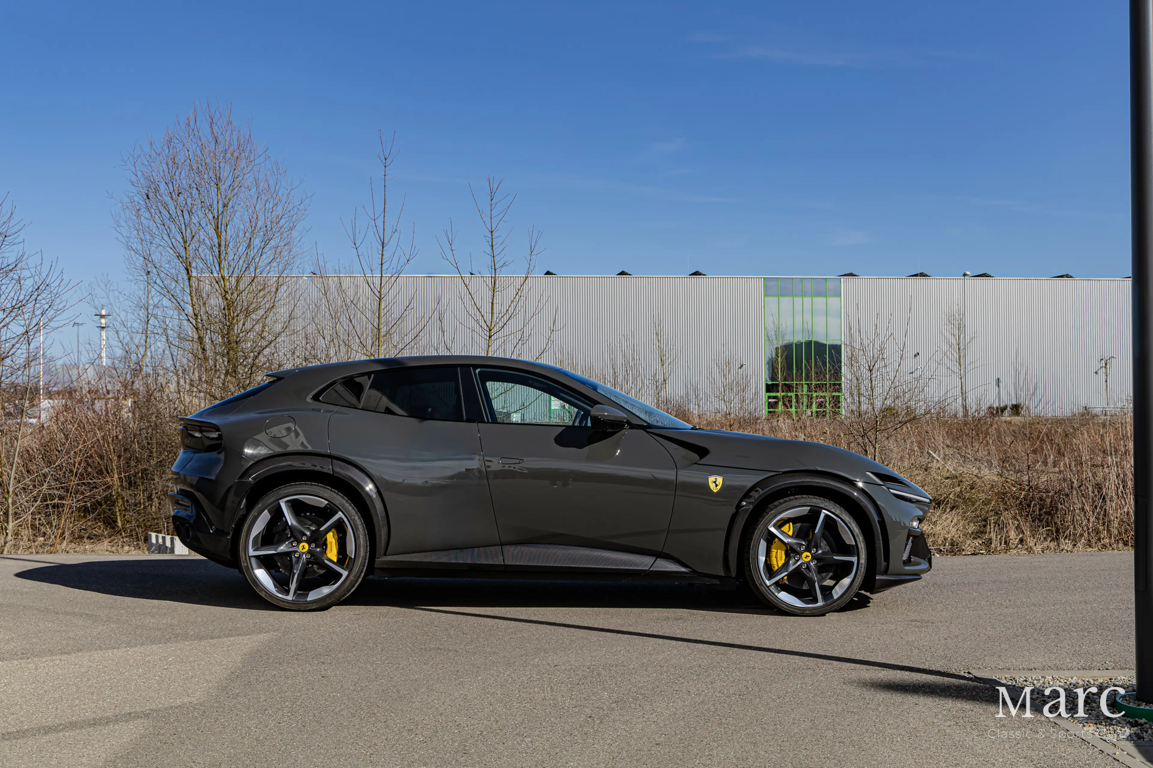 Ferrari Purosangue — photo 6