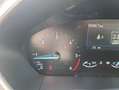 Ford Focus Turnier 1.5 EcoBlue COOL&CONNECT Navi Grau - thumbnail 23