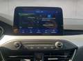 Ford Focus Turnier 1.5 EcoBlue COOL&CONNECT Navi Grau - thumbnail 15