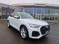 Audi Q5 40 TDI quattro * S-LINE * PANORAMADACH Weiß - thumbnail 15