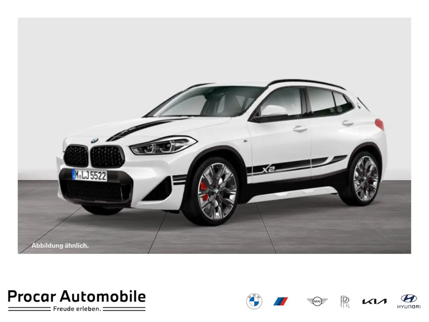 BMW X2 xDrive20i A HiFi DAB LED WLAN RFK Navi Shz Wit - 1