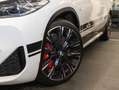 BMW X2 xDrive20i A HiFi DAB LED WLAN RFK Navi Shz Alb - thumbnail 3