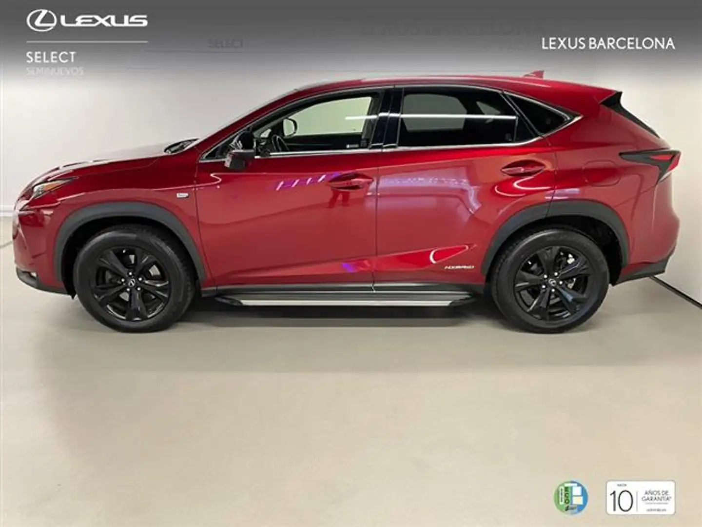 Lexus NX 300 300h Sport Edition 2WD - 2