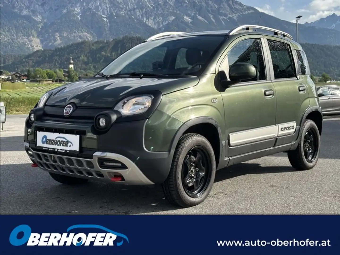 Fiat Panda 1.3 JTD 4x4 Wild Grün - 1