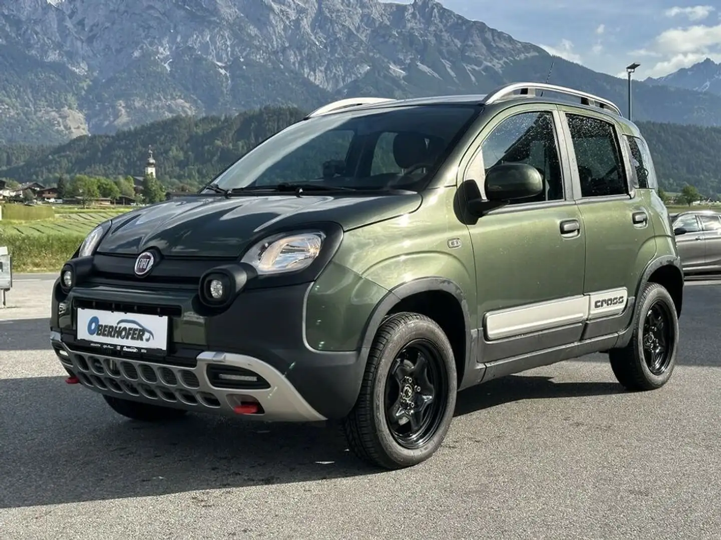 Fiat Panda 1.3 JTD 4x4 Wild Grün - 2