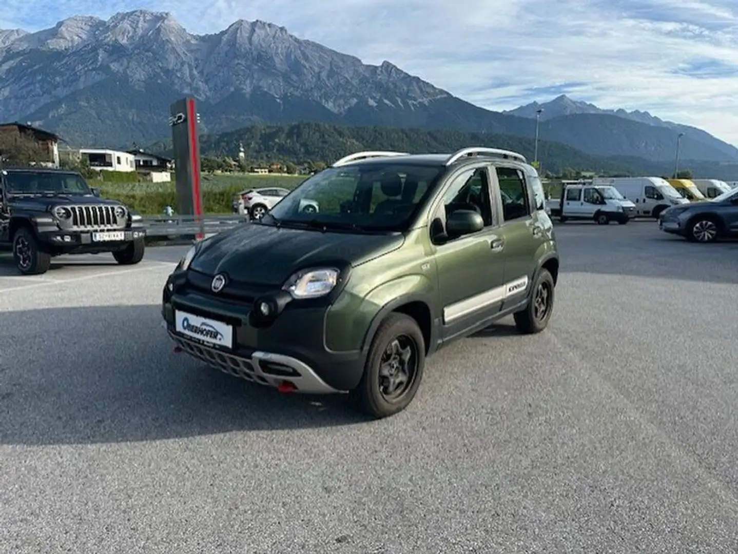 Fiat Panda 1.3 JTD 4x4 Wild Grün - 1
