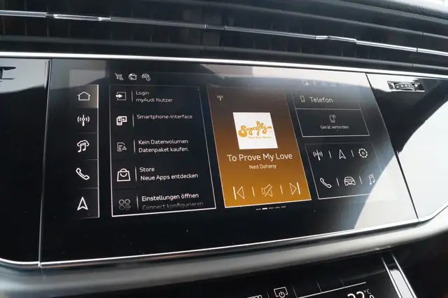 Audi Q8 55 TFSI quattro Ansicht 17