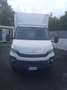 Iveco Daily 60.17 4350 km 12000 Bianco - thumbnail 3