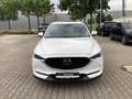 Mazda CX-5 D184 AWD Edition 100 Vollausstattung Webasto AHK Weiß - thumbnail 8