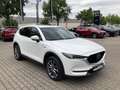 Mazda CX-5 D184 AWD Edition 100 Vollausstattung Webasto AHK Weiß - thumbnail 1
