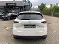 Mazda CX-5 D184 AWD Edition 100 Vollausstattung Webasto AHK Weiß - thumbnail 4