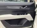Mazda CX-5 D184 AWD Edition 100 Vollausstattung Webasto AHK Weiß - thumbnail 10