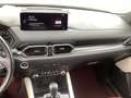 Mazda CX-5 D184 AWD Edition 100 Vollausstattung Webasto AHK Weiß - thumbnail 18