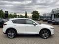 Mazda CX-5 D184 AWD Edition 100 Vollausstattung Webasto AHK Weiß - thumbnail 2