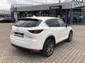 Mazda CX-5 D184 AWD Edition 100 Vollausstattung Webasto AHK Weiß - thumbnail 3