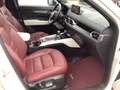 Mazda CX-5 D184 AWD Edition 100 Vollausstattung Webasto AHK Weiß - thumbnail 20