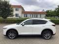 Mazda CX-5 D184 AWD Edition 100 Vollausstattung Webasto AHK Weiß - thumbnail 6