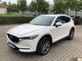 Mazda CX-5 D184 AWD Edition 100 Vollausstattung Webasto AHK Weiß - thumbnail 7