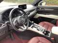 Mazda CX-5 D184 AWD Edition 100 Vollausstattung Webasto AHK Weiß - thumbnail 14