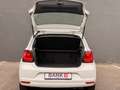 Volkswagen Polo V Allstar/SHZ/PDC/BLUETOOTH Weiß - thumbnail 6