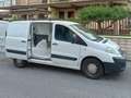 Fiat Scudo 2.0 MJT/130 UNICOPROPRIETARIO Alb - thumbnail 7