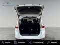 Renault Grand Scenic III 1.5 dCi 110ch energy Dynamique eco² 5 pl Blanco - thumbnail 11