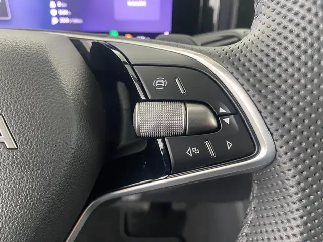 Skoda Kodiaq 4x4 Selection TDI DSG Ansicht 19