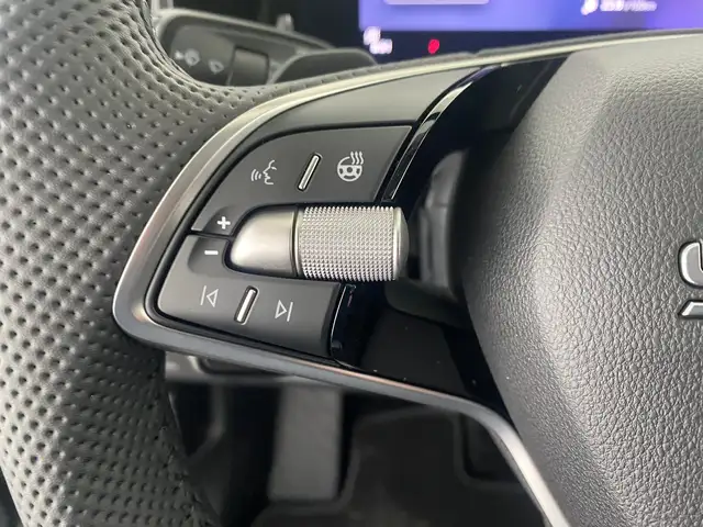 Skoda Kodiaq 4x4 Selection TDI DSG Ansicht 18