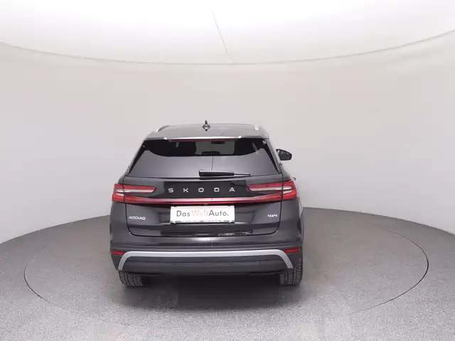 Skoda Kodiaq 4x4 Selection TDI DSG Ansicht 6
