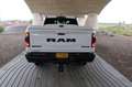 Dodge RAM 1500 5.7 V8 Hemi LPG3 4x4 CC Rebel Blanc - thumbnail 7