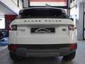 Land Rover Range Rover Evoque 5p 2.2 td4 Dynamic 150cv Weiß - thumbnail 4