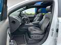 Audi Q7 3.0 TDI clean quattro*S-LINE PLUS*7-SITZE*NAV Blanco - thumbnail 13