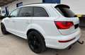 Audi Q7 3.0 TDI clean quattro*S-LINE PLUS*7-SITZE*NAV Blanco - thumbnail 8