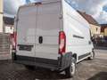 Opel Movano 2.3 CDTI 125 Kasten Weiß - thumbnail 3