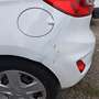 Ford Fiesta Fiesta VAN 1.5 TDCI PREZZO+IVA22% Blanc - thumbnail 11