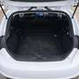 Ford Fiesta Fiesta VAN 1.5 TDCI PREZZO+IVA22% Blanc - thumbnail 4