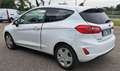 Ford Fiesta Fiesta VAN 1.5 TDCI PREZZO+IVA22% Blanc - thumbnail 2