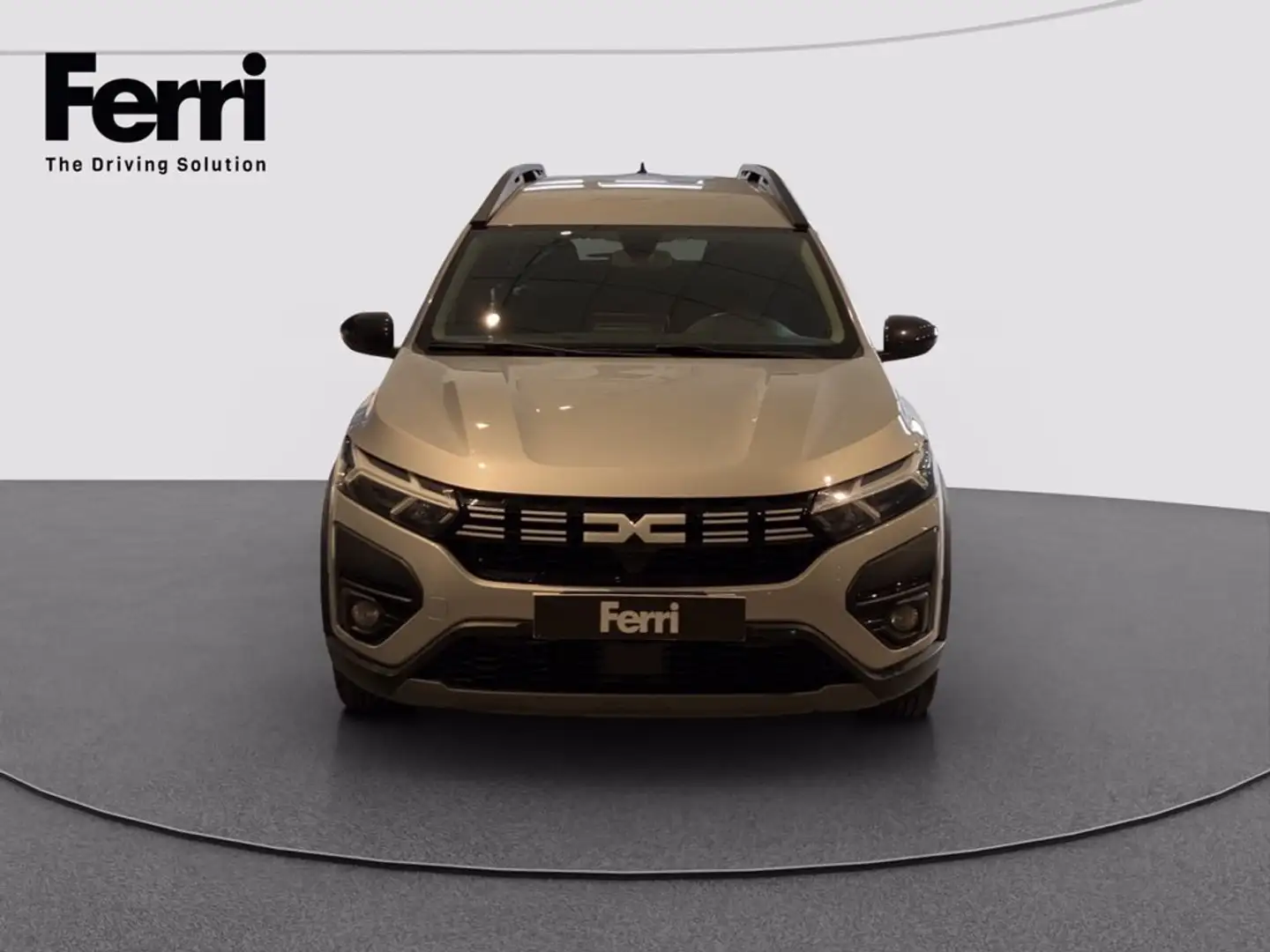 Dacia Jogger 1.0 tce Extreme UP Gpl 100cv Gris - 2