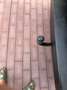 Opel Vivaro maxi, 150cv, airco, 2,0cc, 3 places, adbleu Gris - thumbnail 13