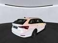 Skoda Octavia Combi 2.0 TDI DSG Ambition ACC*KESSY*Lenkr Weiß - thumbnail 2